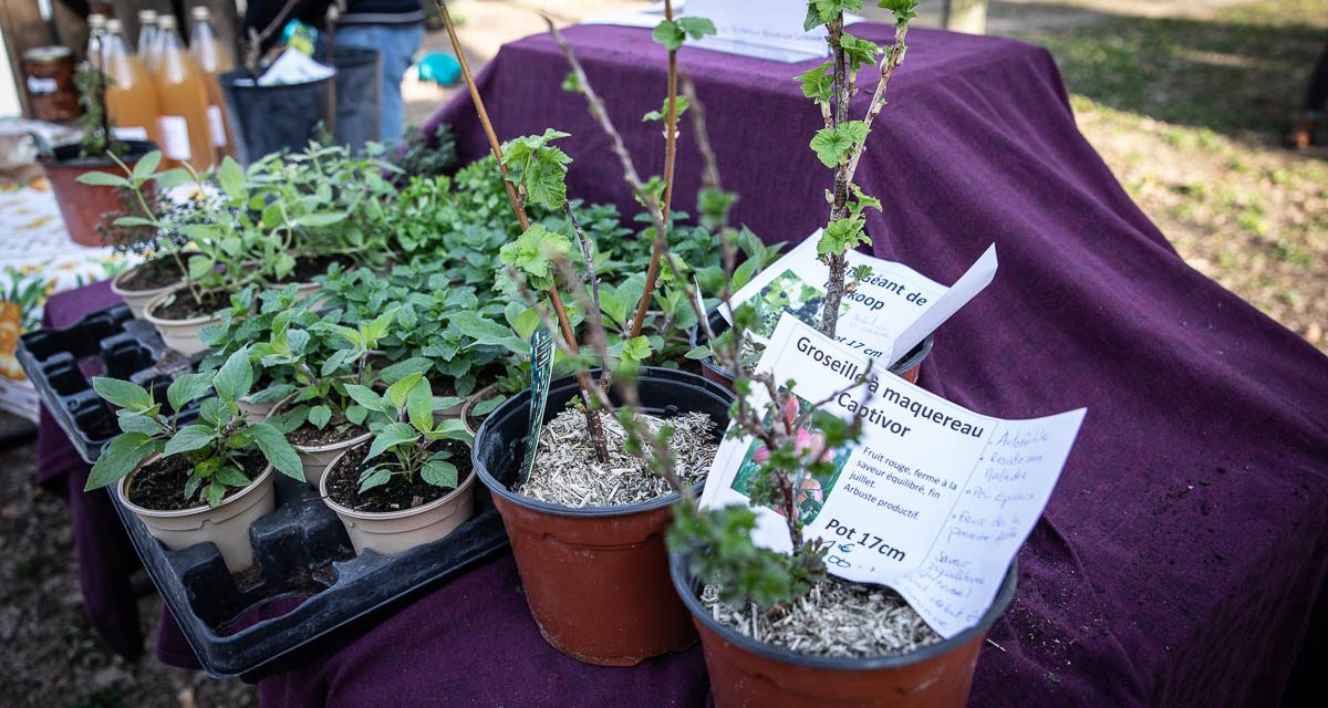 [PHOTOS] : LaLeu fête le printemps