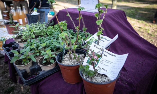 [PHOTOS] : LaLeu fête le printemps