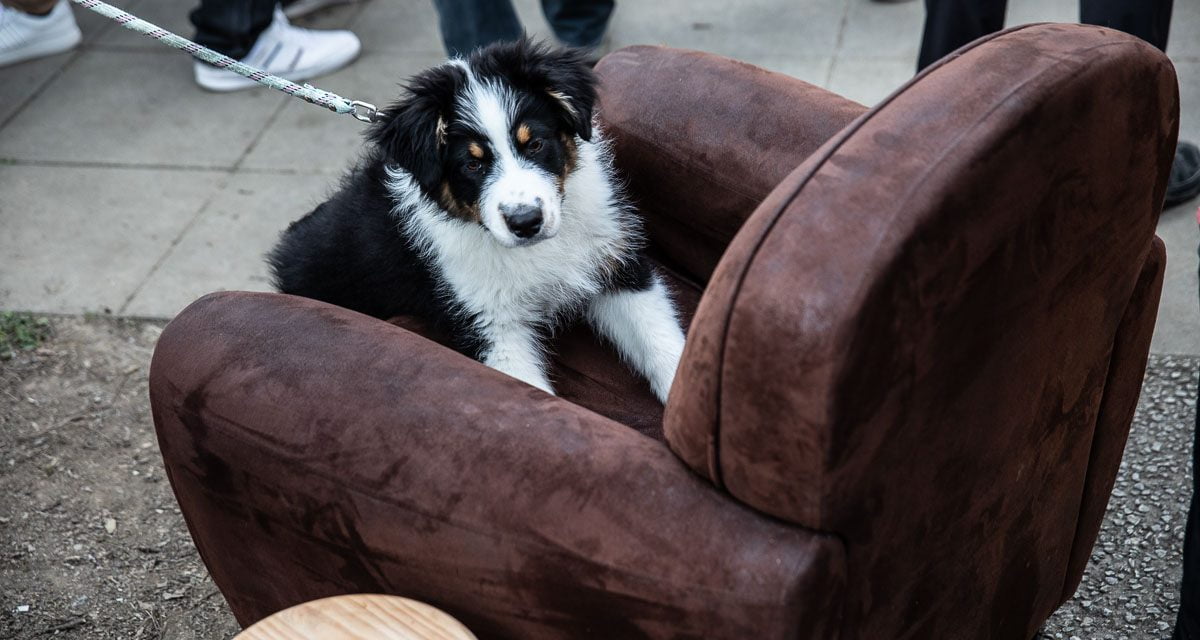 [PHOTOS] : LaLeu fête le printemps