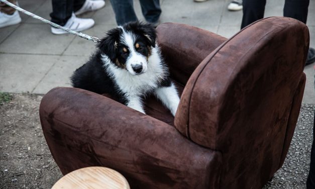 [PHOTOS] : LaLeu fête le printemps