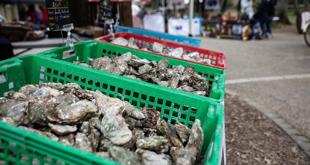 L’ostréiculture recrute à Arvert ce 26 novembre