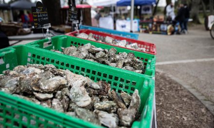 L’ostréiculture recrute à Arvert ce 26 novembre