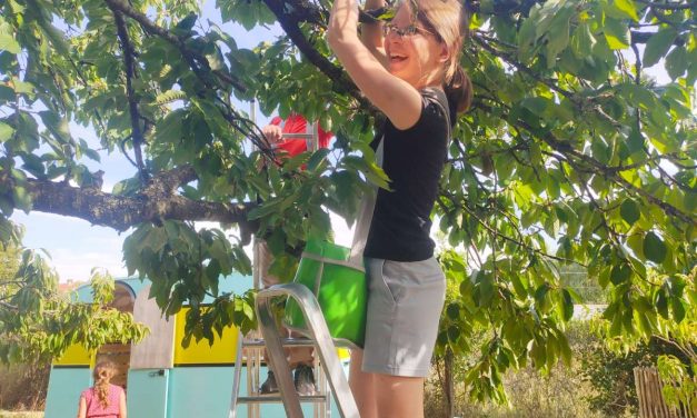 L’association Aux arbres citoyens ! aime les fruits et les partage