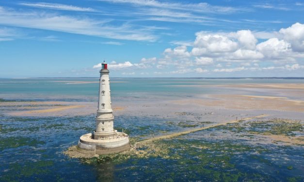 Le Parc de l’estuaire a (re)découvrir de septembre à novembre