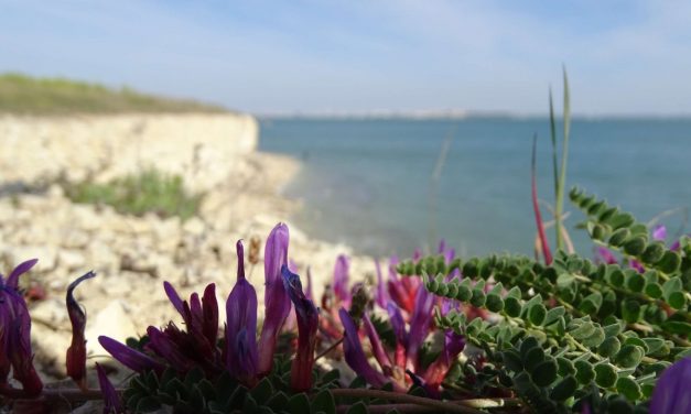 Vos plus belles photos de Charente-Maritime dans La Rochelle Info