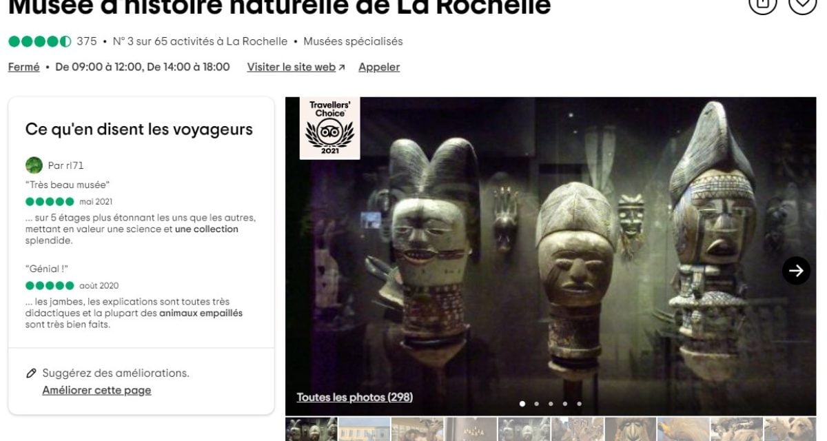 Le Muséum d’Histoire naturelle de La Rochelle reçoit le prix Tripadvisor Travellers’ Choice 2021