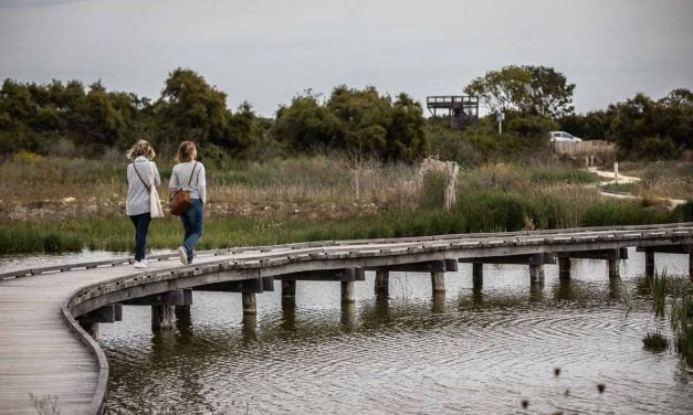 [Photos ] Le Marais de Tasdon retrouve ses promeneurs