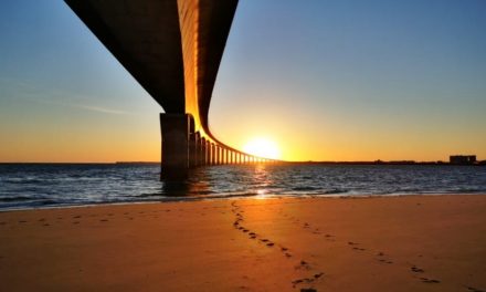 Le pont de l’île de Ré fermé deux nuits en janvier 2024