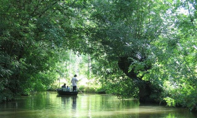 Zones humides : on les fêtera ce mercredi 2 février en Charente-Maritime