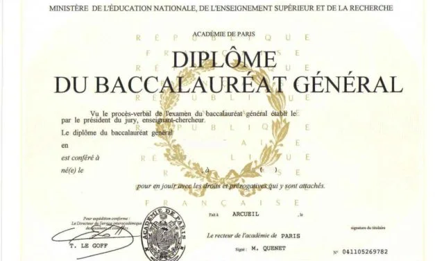Bac 2025 : les résultats provisoires en Charente-Maritime et Deux-Sèvres