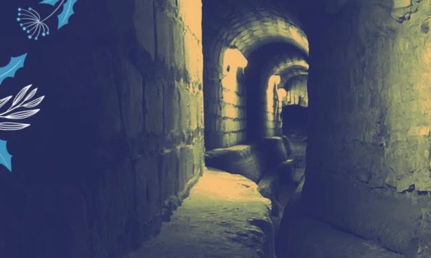 Les Aqueducs de Saintes se dévoilent lors d&rsquo;une conférence