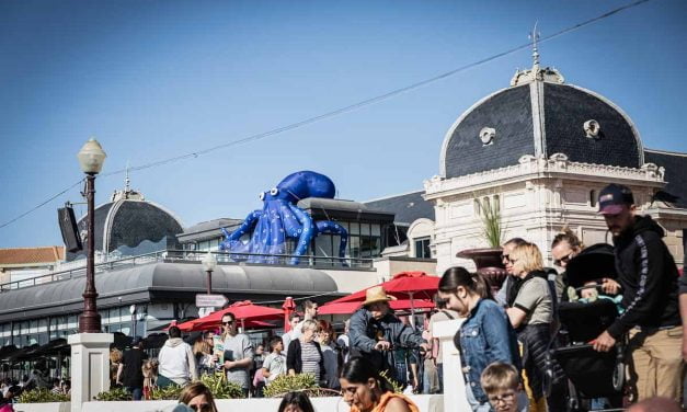 PHOTOS. Premier jour du Festival international du cerf-volant et du vent