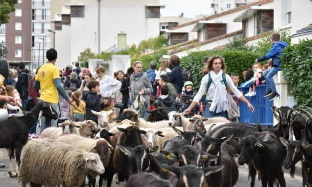 Les 48h de l’agriculture urbaine sont de retour en pays rochelais