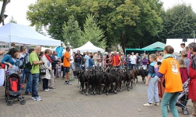Une ferme s&rsquo;installe square Bobinec à La Rochelle