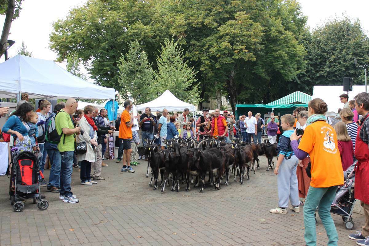 Une ferme s'installe square Bobinec à La Rochelle • La Rochelle info