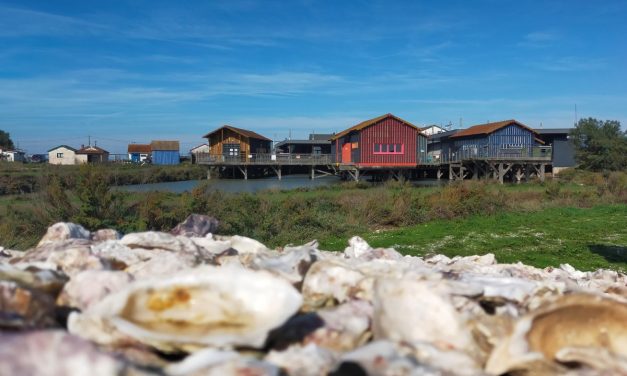Cité de l&rsquo;huître : les animations de ce printemps