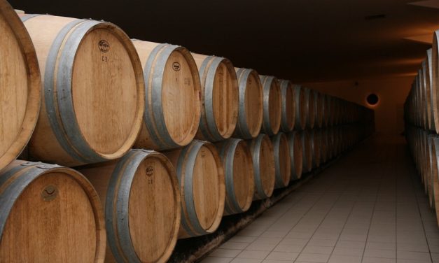 L&rsquo;histoire des vins du bordelais en conférence