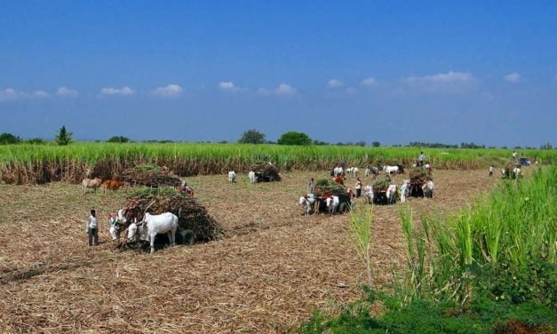 Une nouvelle conférence aux archives départementales