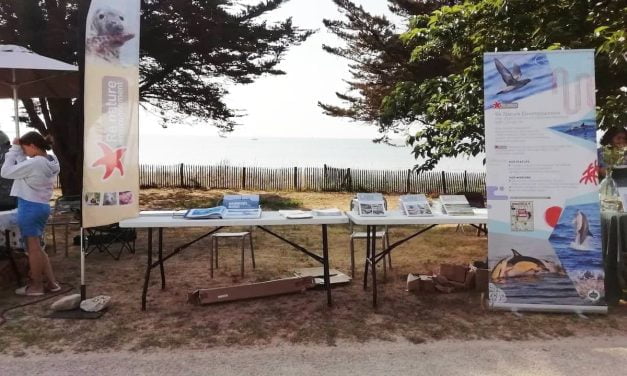 Rivedoux-plage : Une journée pour le bien-être