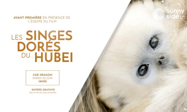 Les singes du Hubei à découvrir au CGR Dragon