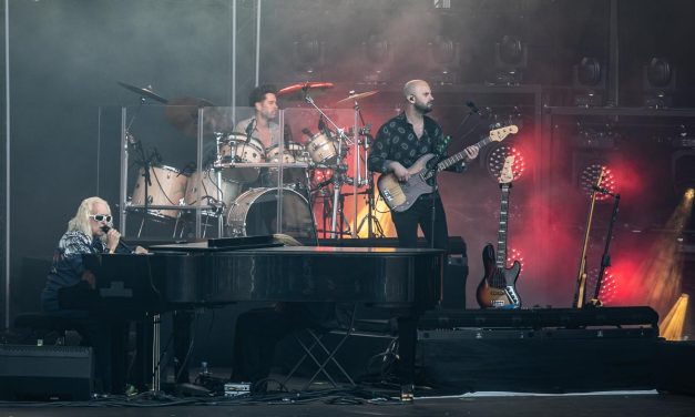 [PHOTOS] Francofolies de La Rochelle, place aux souvenirs