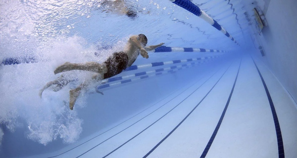 Une nouvelle piscine à Lagord et le Palmilud en travaux