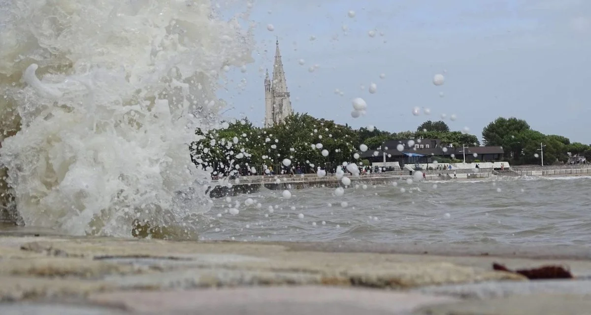 Tempête Ciaran : la ville de La Rochelle se mobilise
