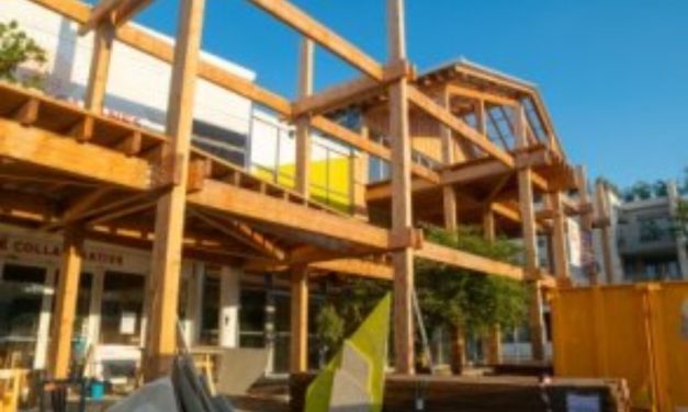 A La Rochelle, les Cabanes Urbaines bénéficient d&rsquo;une aide régionale