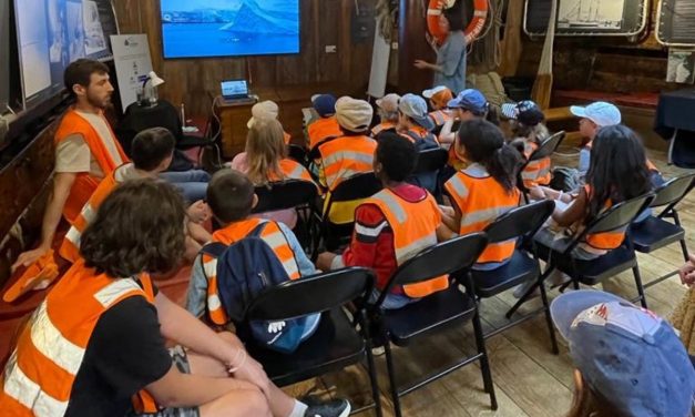 Cet été, les pôles s’invitent à La Rochelle