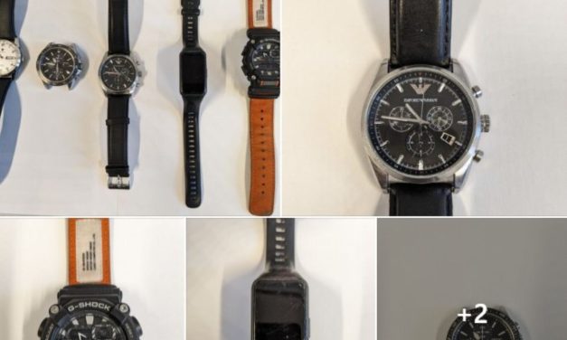 La Rochelle : à qui ces montres de marque ?