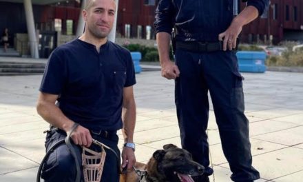 Thor, le chien policier de La Rochelle, va pouvoir couler une retraite heureuse