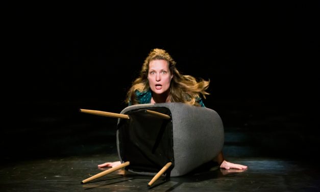 Quels spectacles à l&rsquo;espace Giraudeau de La Rochelle ?