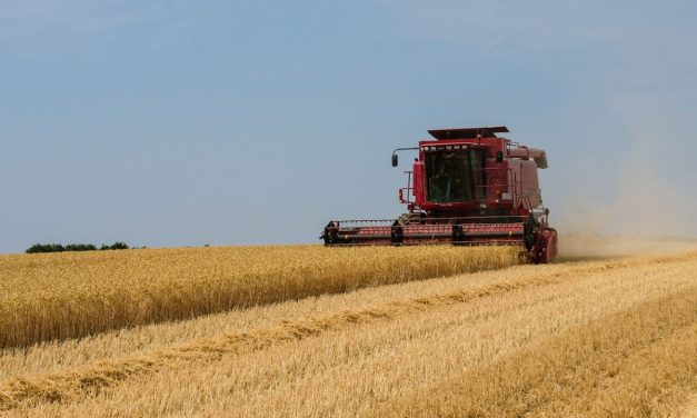 Le festival Alimenterre prend ses quartiers à La Rochelle