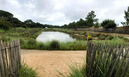 Le chemin d’Oléron évolue mais pas sa distance