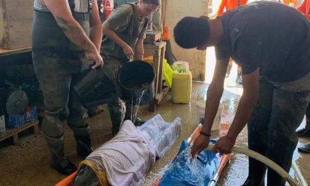 Deux dauphins sauvés sur l’île d’Oléron