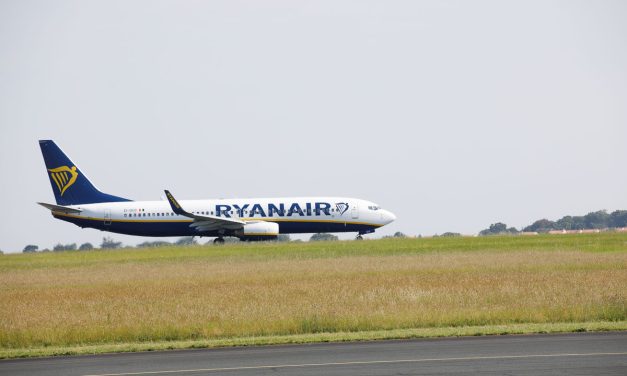 Coupes de 599 arbres près de l’aéroport : comment le maire de La Rochelle les justifie
