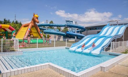 La fête au centre aquatique Palmilud de Périgny