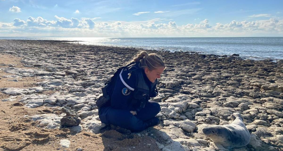 La photo trop choupinette de la gendarmerie de Charente-Maritime