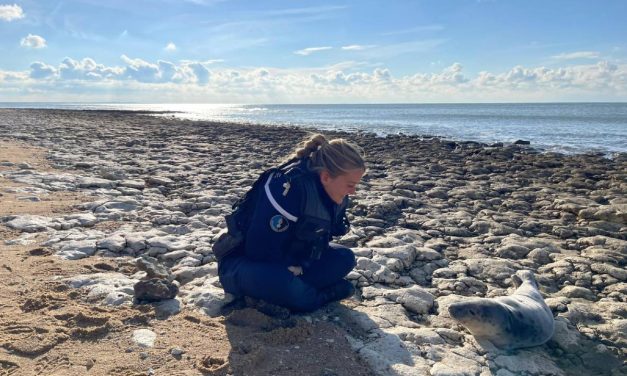 La photo trop choupinette de la gendarmerie de Charente-Maritime