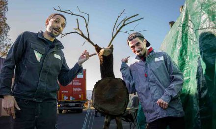 Fêtes de fin d’année : Puilboreau va briller écoresponsabilité