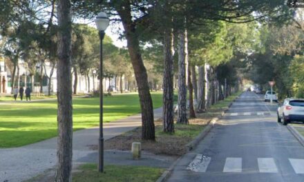 25 arbres vont être abattus allées du mail à La Rochelle