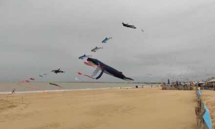 Les Cerfs-volants en route vers 2026