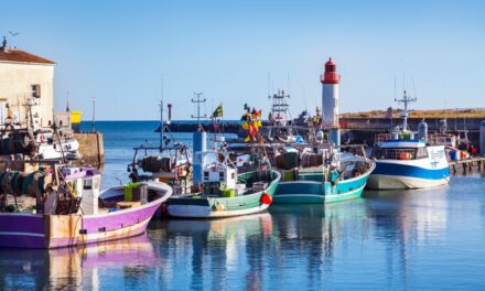 Métiers de la mer : opération séduction sur l’île d’Oléron