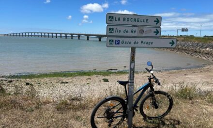 Santé, routes, agriculture : les dernières décisions du département de la Charente-Maritime