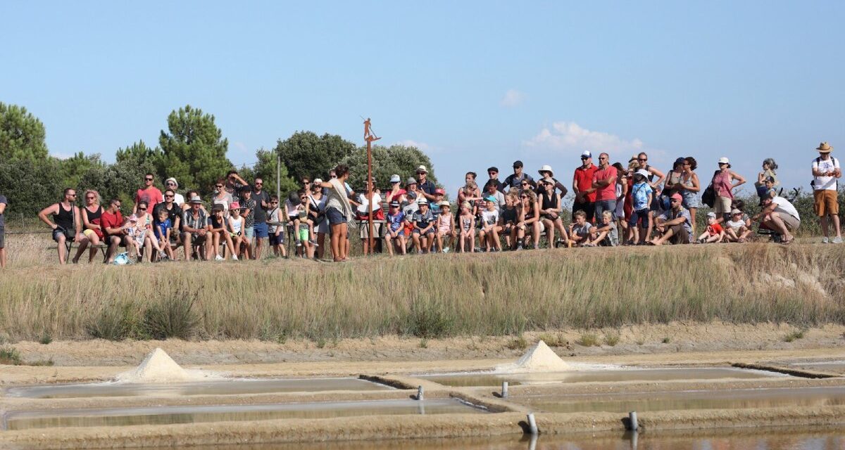 Qui veut devenir saunier en Charente-Maritime ?
