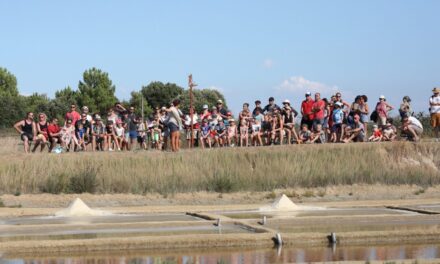 Qui veut devenir saunier en Charente-Maritime ?