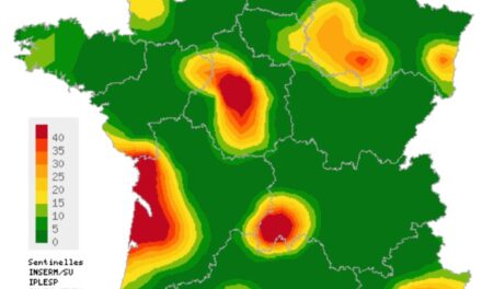 La varicelle s’invite sur les plages de Charente-Maritime