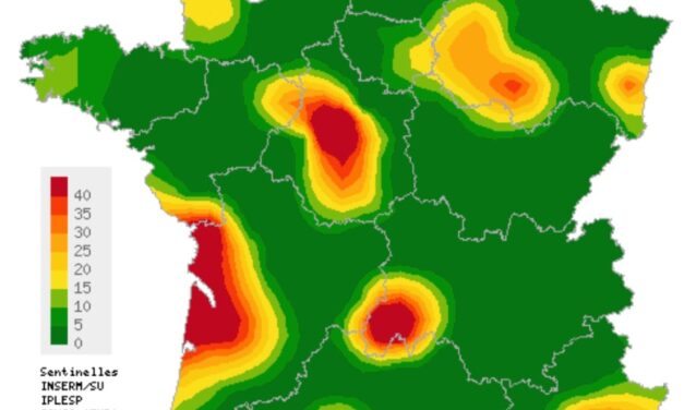 La varicelle s&rsquo;invite sur les plages de Charente-Maritime