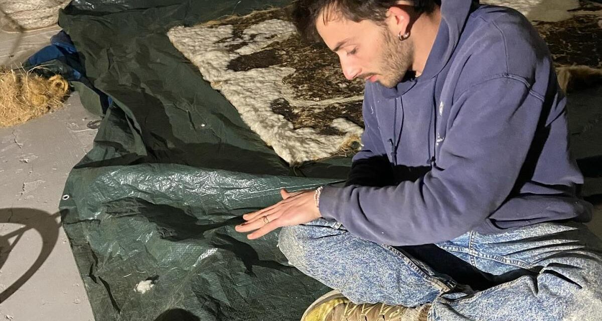 Louis Guillaume à découvrir à La Rochelle jusqu’au 14 septembre