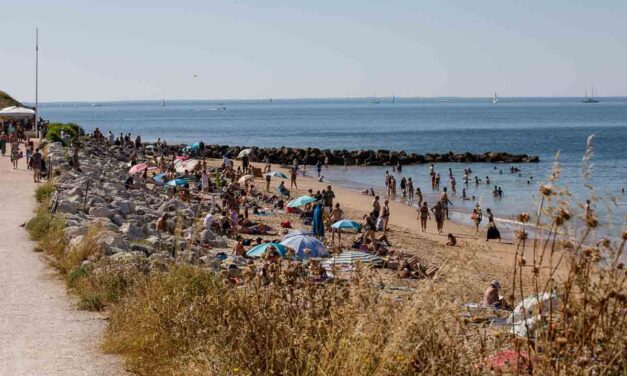 Nouveau plan canicule à La Rochelle : ce qui est mis en place
